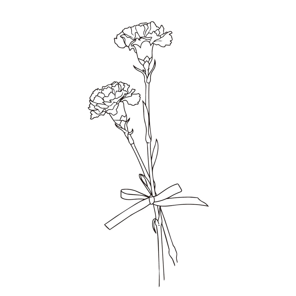 カーネーション