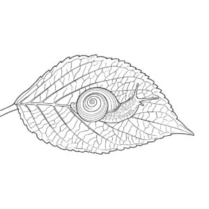 Free printable Leaf and Misuji Maimai Snail coloring page
