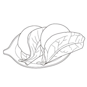 Free printable Kashiwa mochi of Western Japan (Sarutori-ibara mochi / Shiba mochi) coloring page