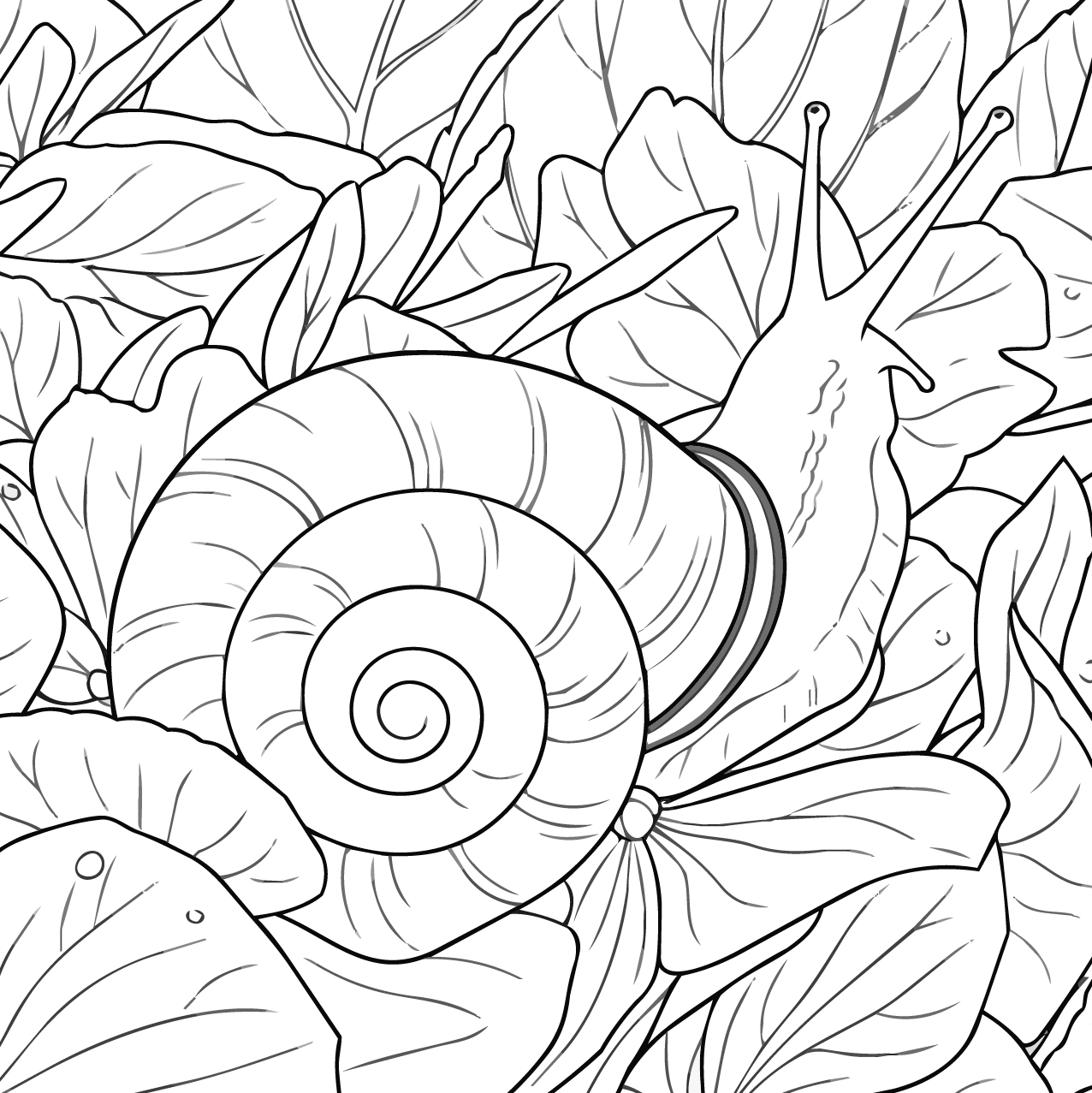 クチベニマイマイの塗り絵