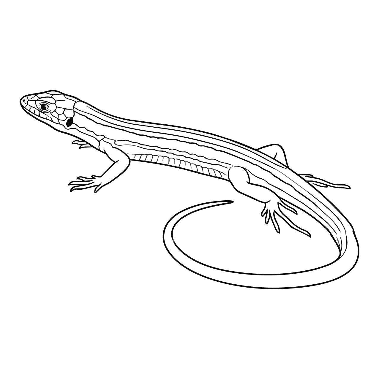 カナヘビ（ニホンカナヘビ）の塗り絵