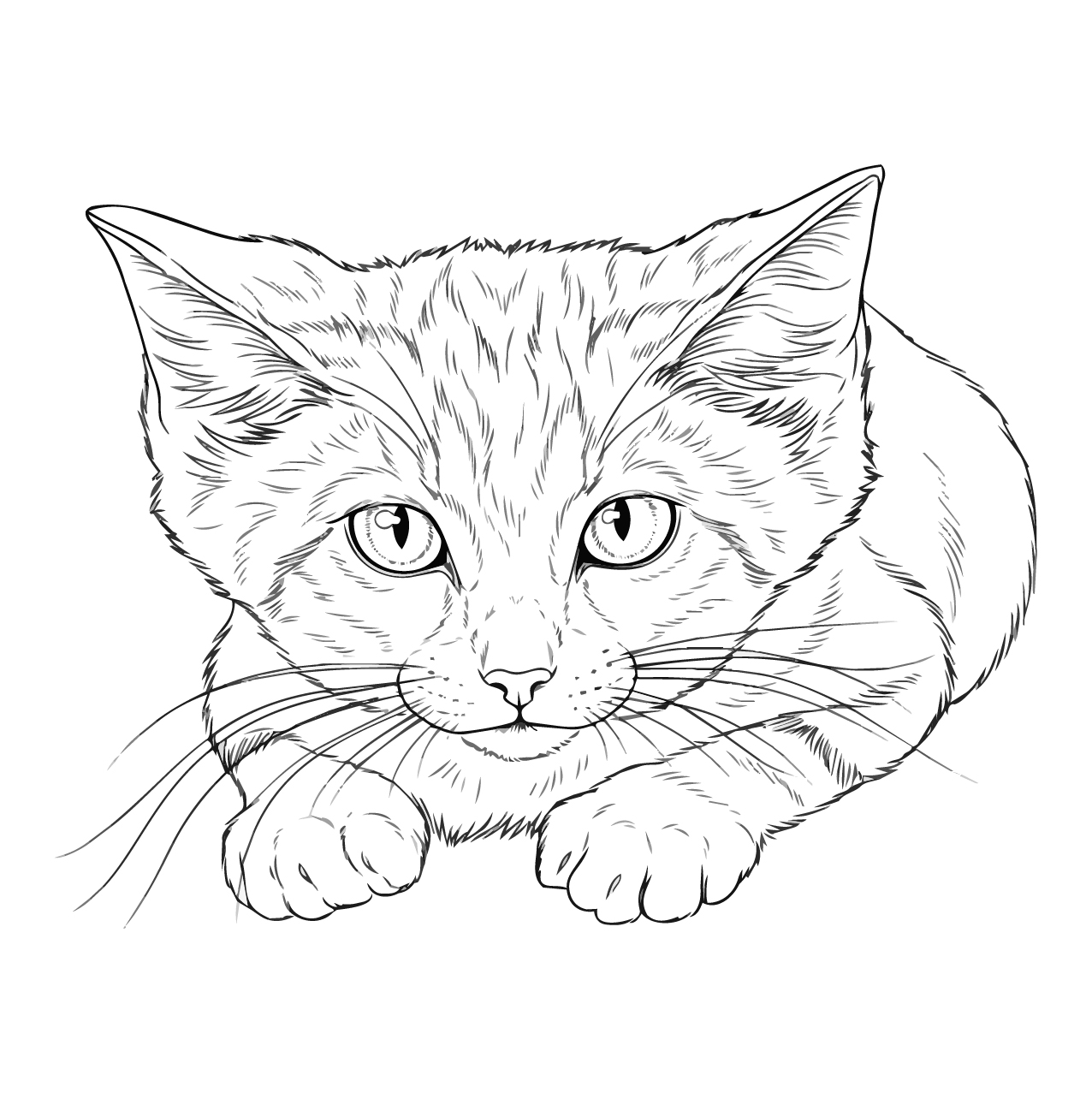 砂猫（スナネコ）の塗り絵