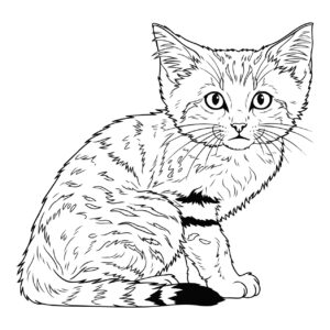 Free printable Sand cat 3 coloring page