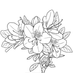 ツツジの無料塗り絵イラスト（知育・高齢者レク用）