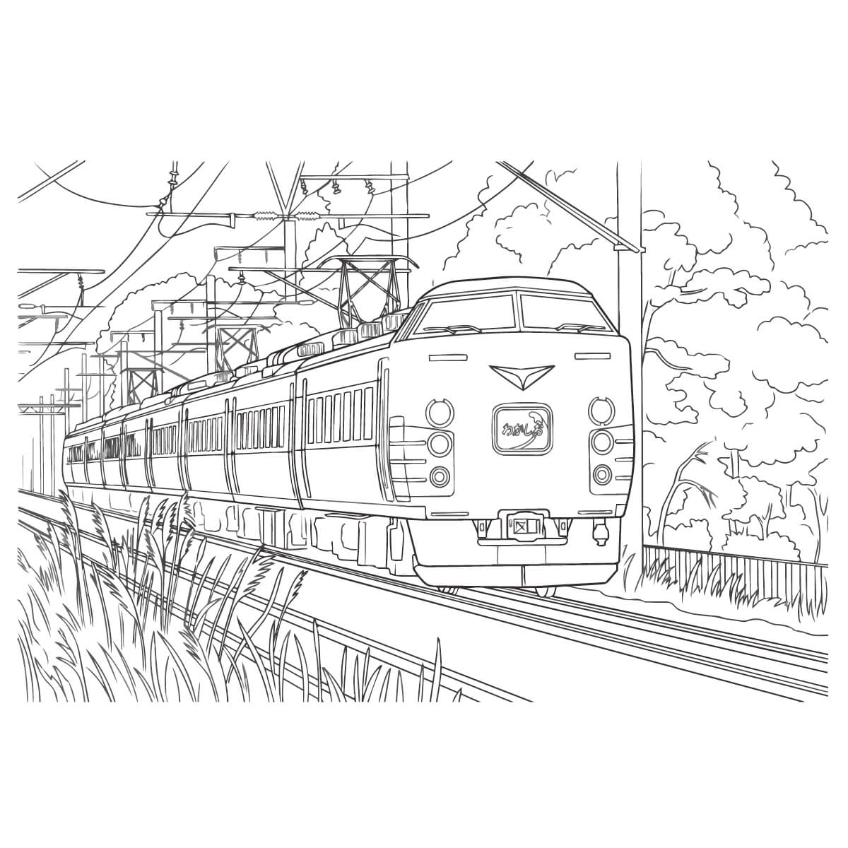 わかしお　183系