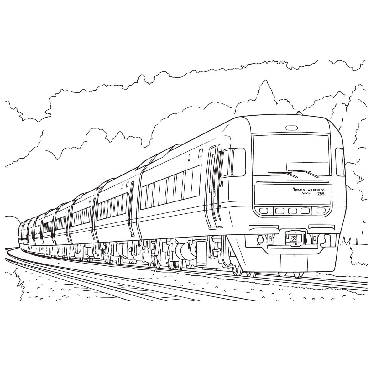 ビューわかしお　255系（房総ビューエクスプレス）