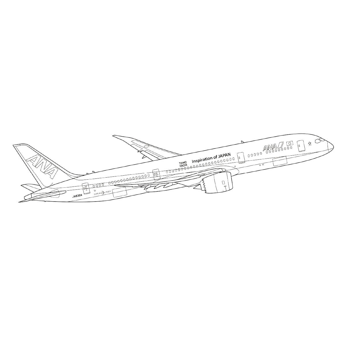 ボーイング787　通常塗装