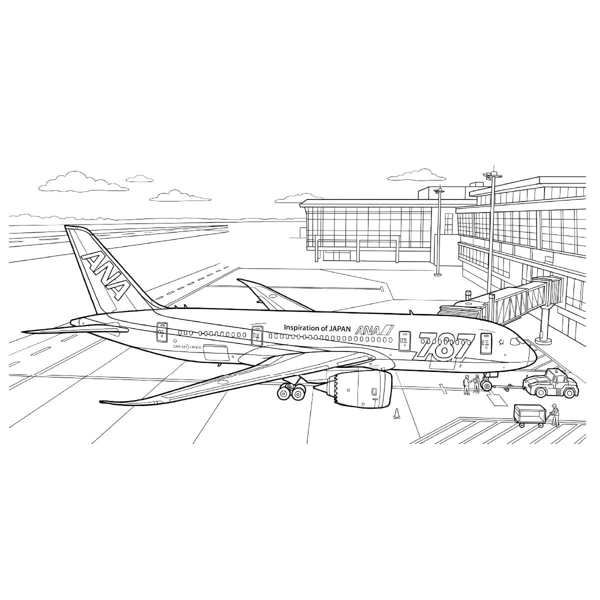 ボーイング787 (ドリームライナー)の塗り絵
