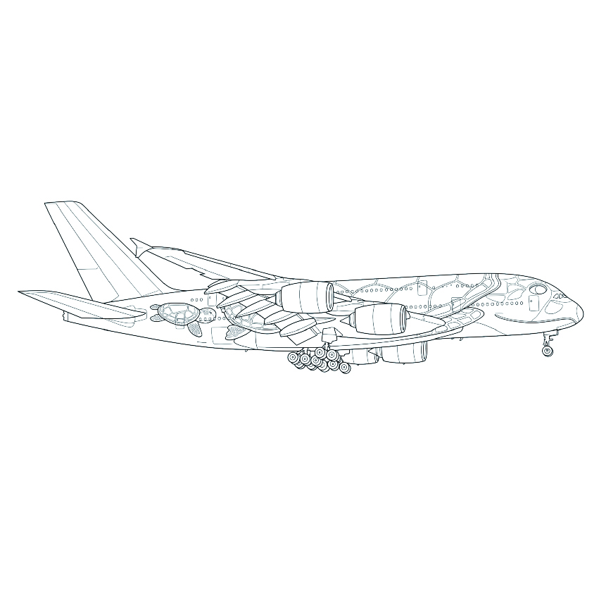 フライングホヌの塗り絵