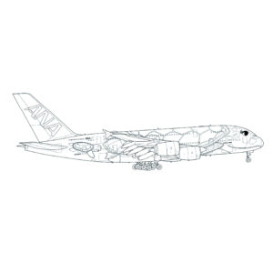 フライングホヌ 3号機 JA383Aの無料塗り絵イラスト（知育・高齢者レク用）