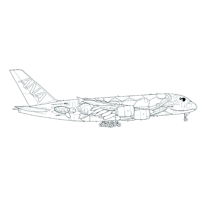 フライングホヌの塗り絵