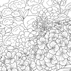 紫陽花（アジサイ）の無料塗り絵イラスト（知育・高齢者レク用）
