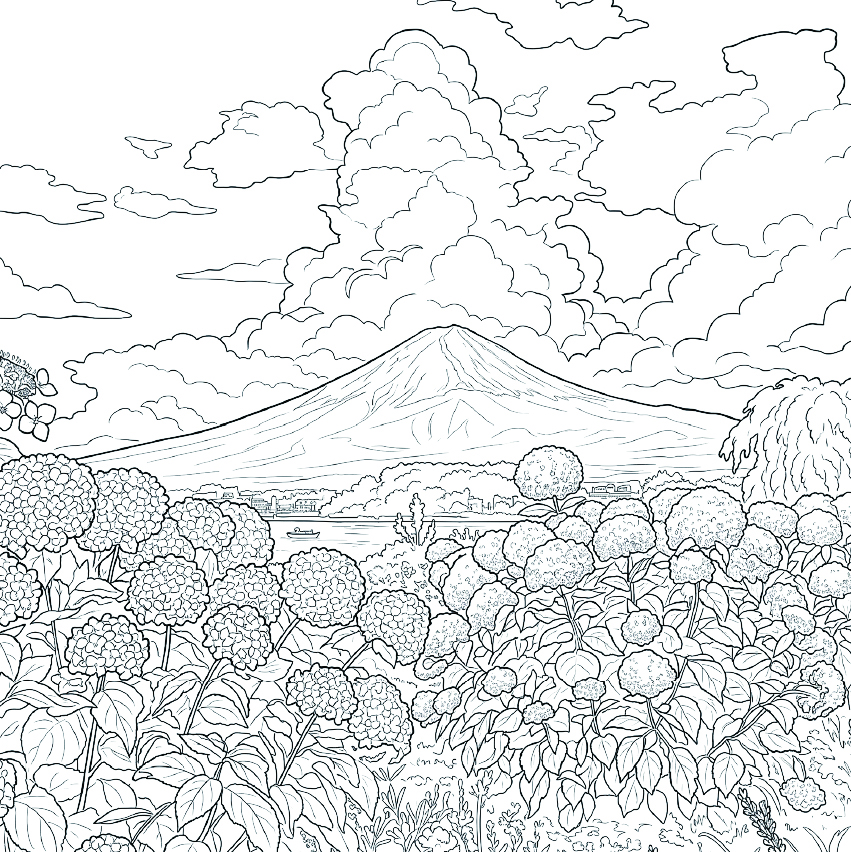 紫陽花（アジサイ）の塗り絵