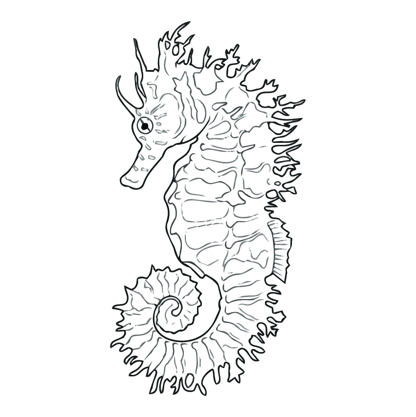 タツノオトシゴの塗り絵