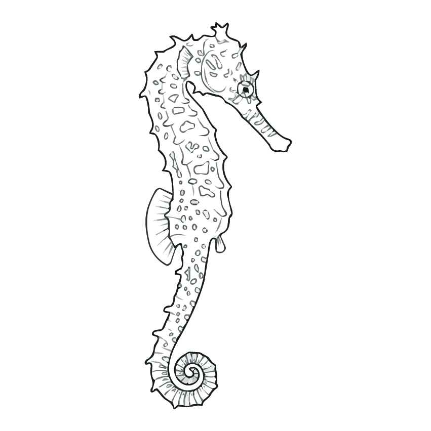 タツノオトシゴの塗り絵