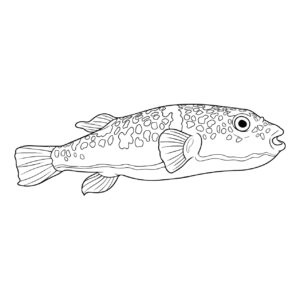 Free printable Japanese pufferfish 2 coloring page