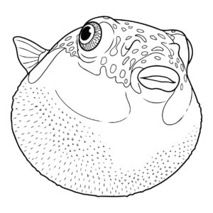 Free printable Japanese pufferfish coloring page