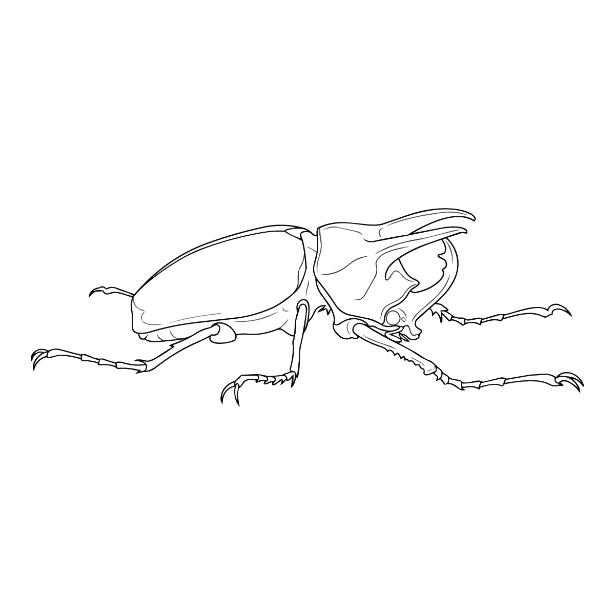 アトラスオオカブト２の無料塗り絵イラスト（知育・高齢者レク用）