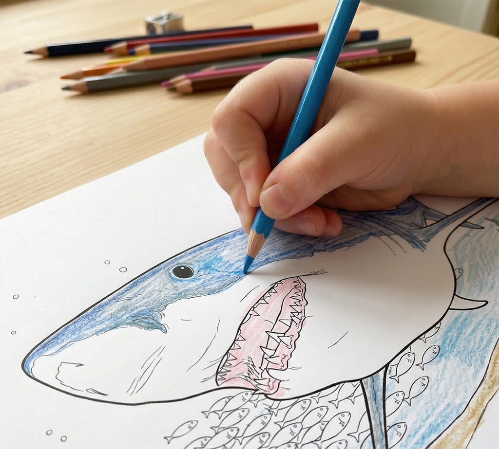 塗り絵の参考になる魚の図鑑５選