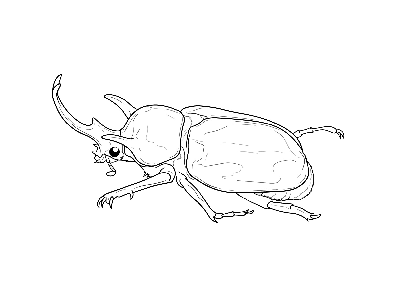 エレファスゾウカブト２の無料塗り絵イラスト（知育・高齢者レク用）