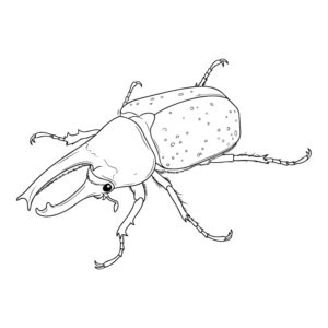 グラントシロカブトの無料塗り絵イラスト（知育・高齢者レク用）