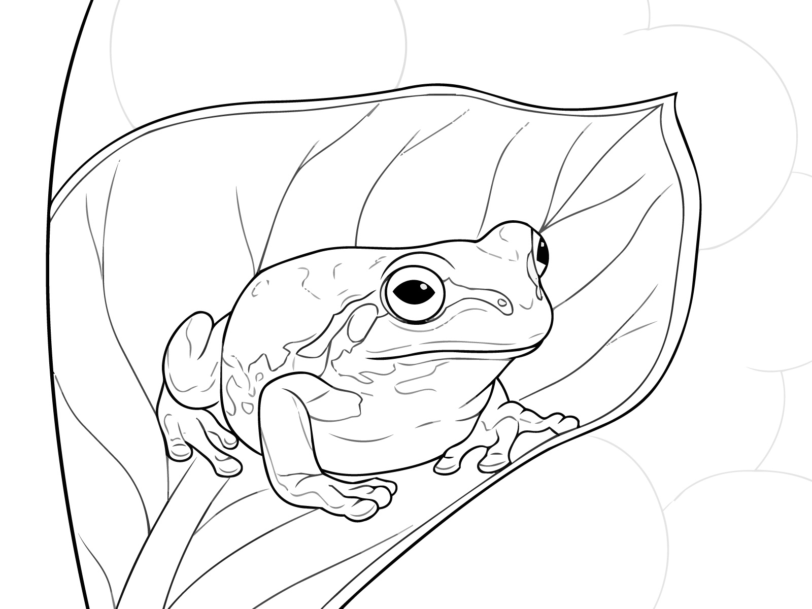 ニホンアマガエル４の無料塗り絵イラスト（知育・高齢者レク用）