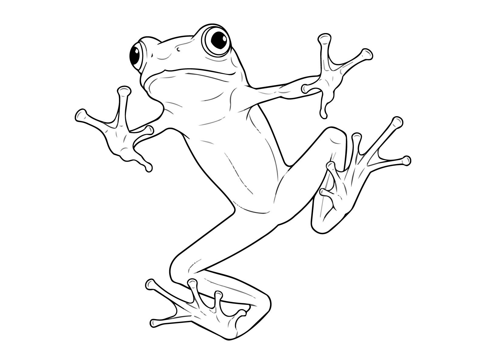 ニホンアマガエルの無料塗り絵イラスト（知育・高齢者レク用）