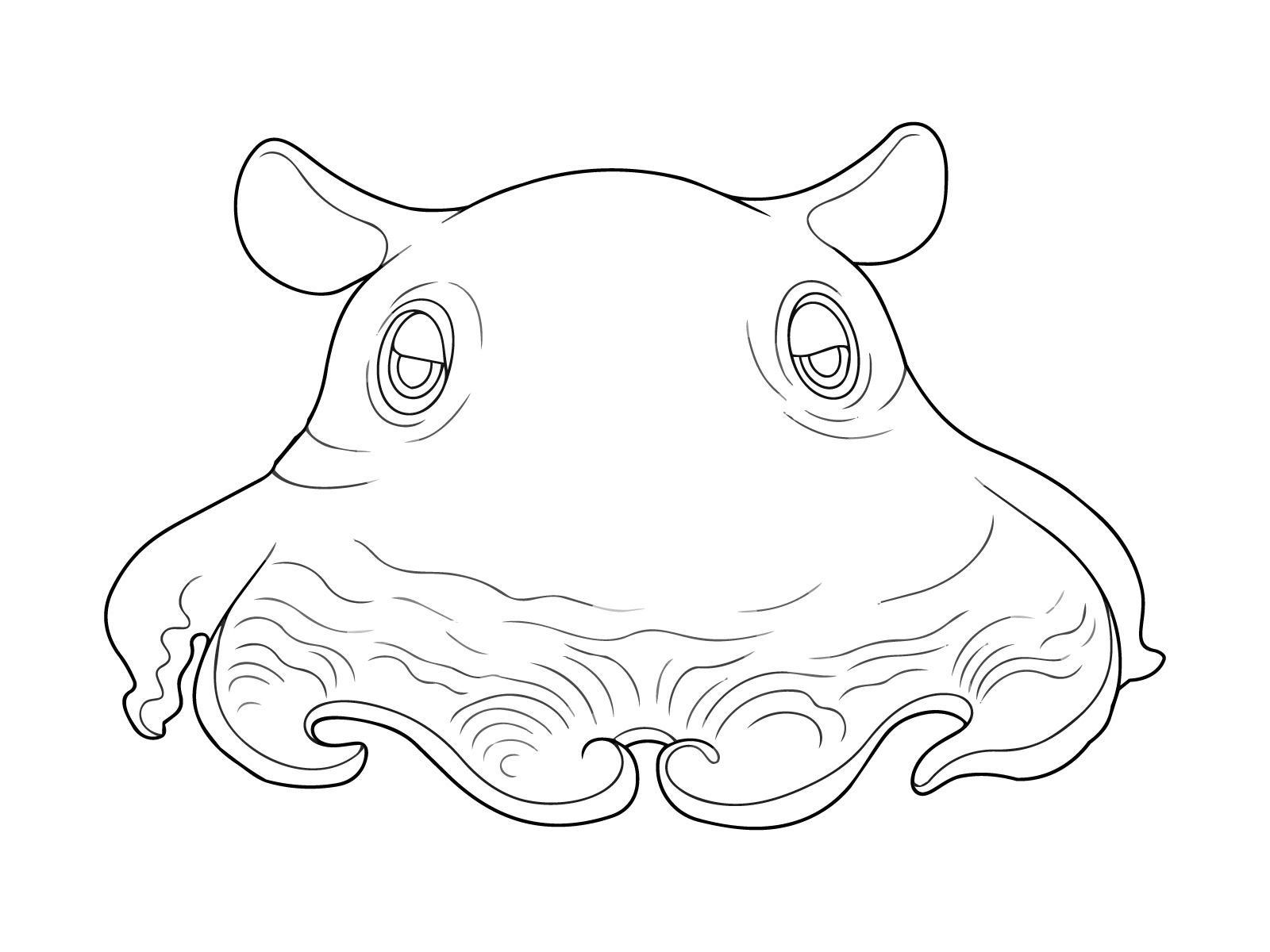 メンダコの無料塗り絵イラスト（知育・高齢者レク用）