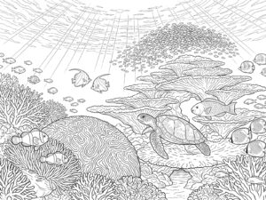 石垣島 石西礁湖のサンゴ礁の無料塗り絵イラスト（知育・高齢者レク用）