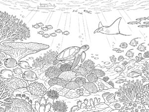 宮古島 八重干瀬のサンゴ礁の無料塗り絵イラスト（知育・高齢者レク用）