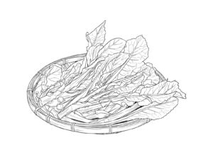 野沢菜 (漬ける前)の無料塗り絵イラスト（知育・高齢者レク用）