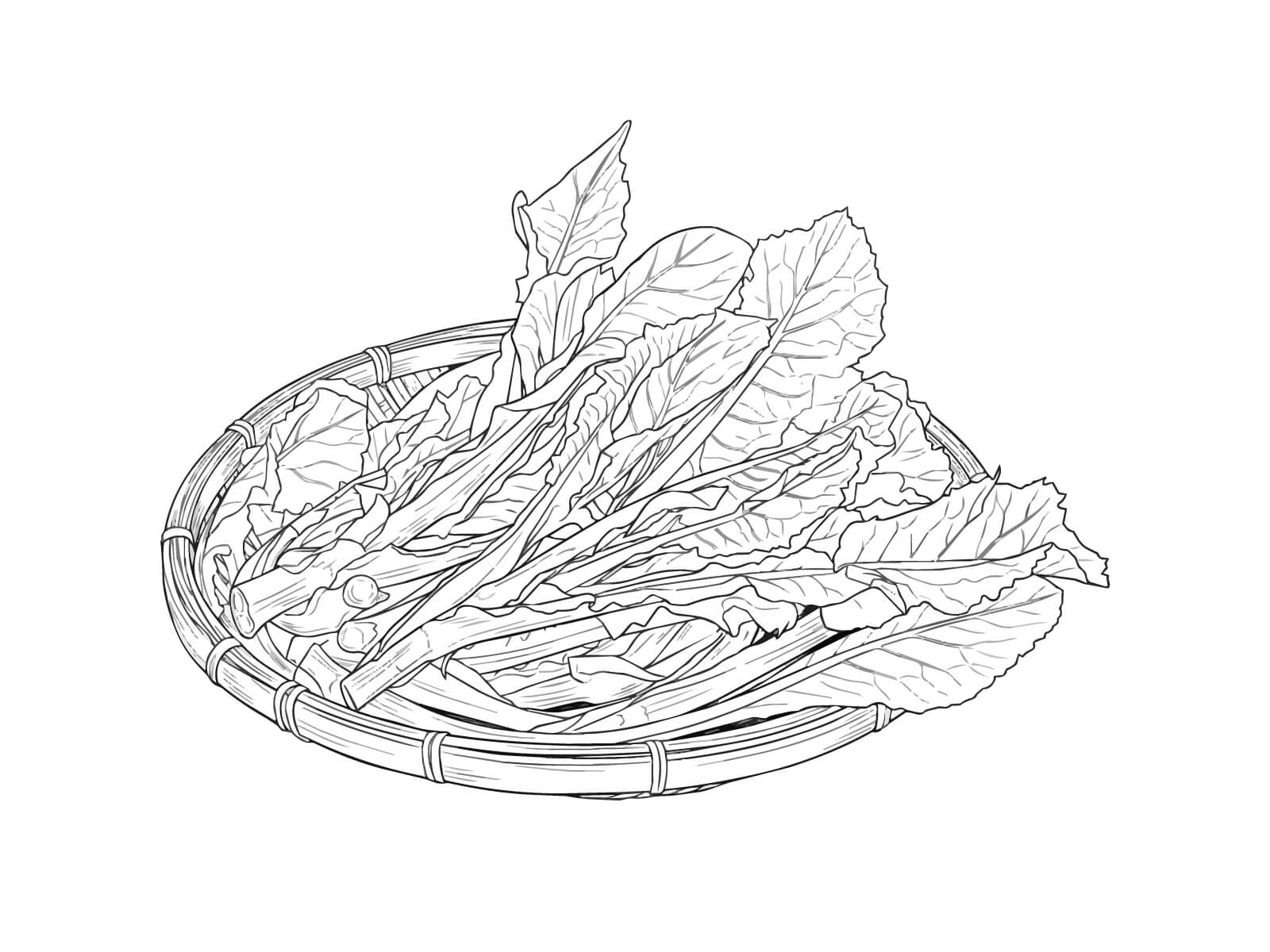 野沢菜 (漬ける前)の無料塗り絵イラスト（知育・高齢者レク用）