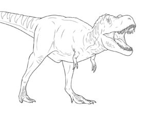 タルボサウルスの無料塗り絵イラスト（知育・高齢者レク用）