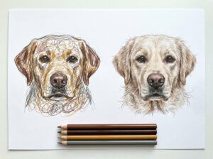動物の毛並みの塗り方｜ふわふわに見せる線の重ね方