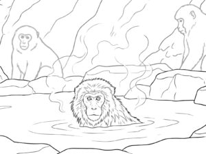 ニホンザル 温泉の無料塗り絵イラスト（知育・高齢者レク用）