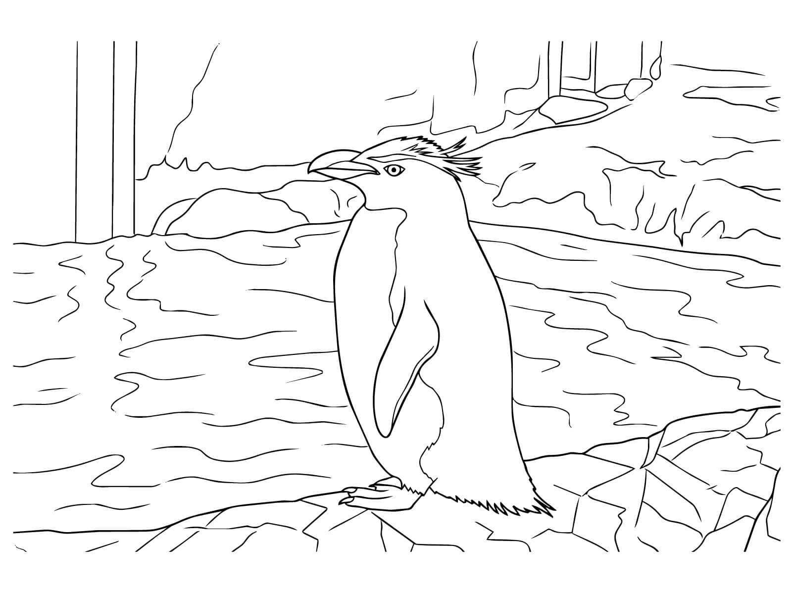 イワトビペンギンの無料塗り絵イラスト（知育・高齢者レク用）