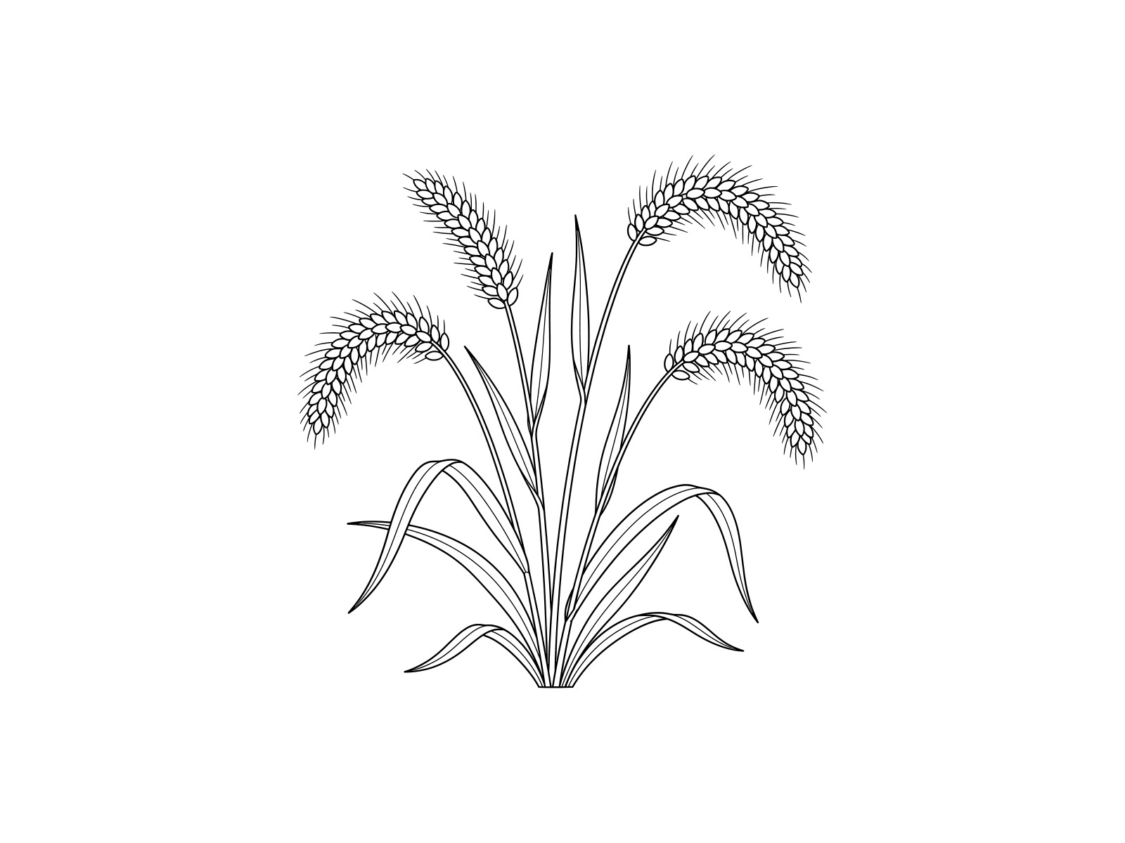 Free printable Green foxtail (Nekojarashi) coloring page