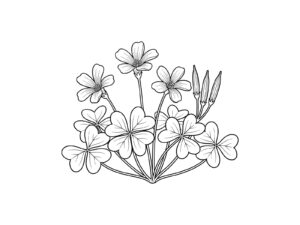 カタバミの無料塗り絵イラスト（知育・高齢者レク用）