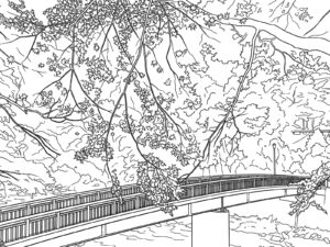 香嵐渓の無料塗り絵イラスト（知育・高齢者レク用）