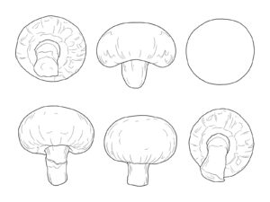 Free printable Mushrooms (various angles) coloring page