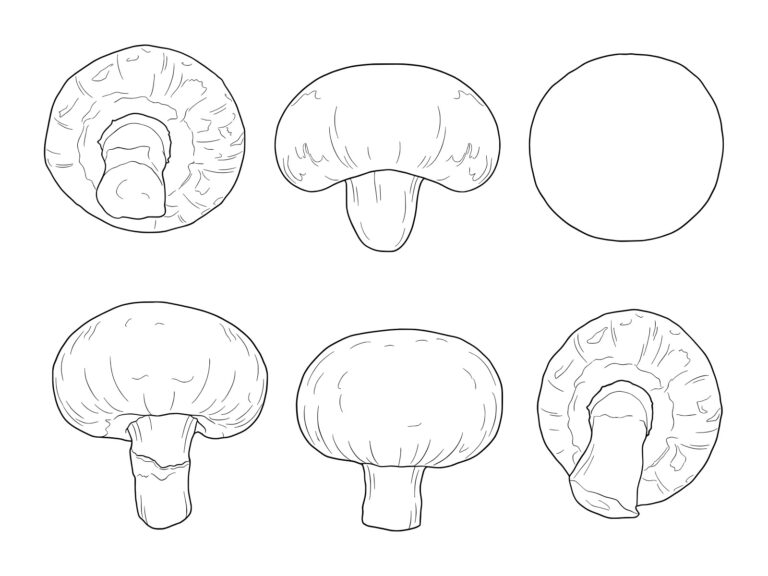 Free printable Mushroom coloring page