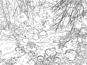 奥入瀬渓流の無料塗り絵イラスト（知育・高齢者レク用）