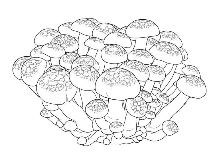 Free printable Shimeji (Beech Mushroom) coloring page