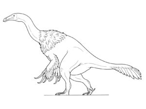テリジノサウルスの無料塗り絵イラスト（知育・高齢者レク用）