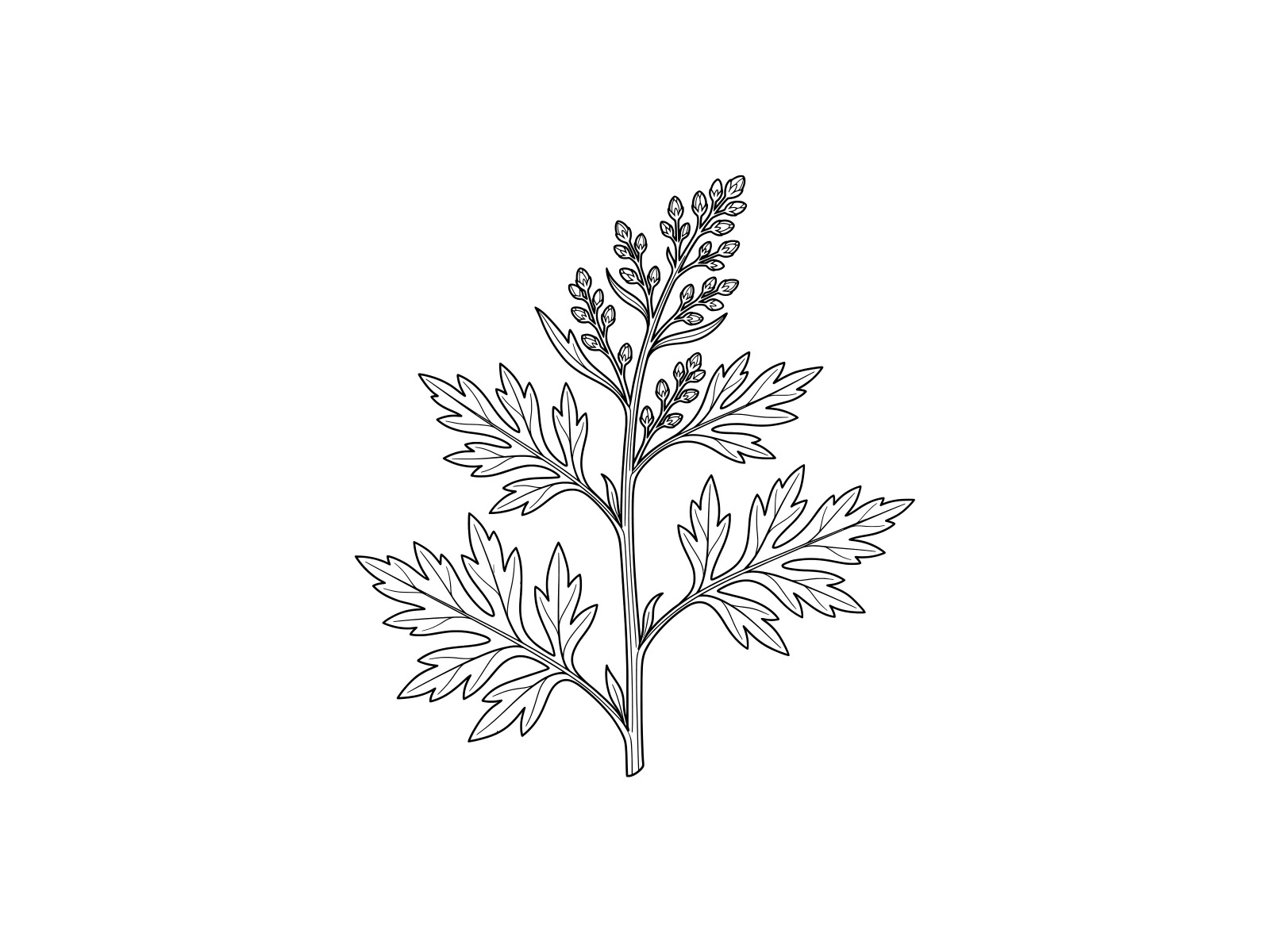 Free printable Yomogi / Japanese mugwort coloring page