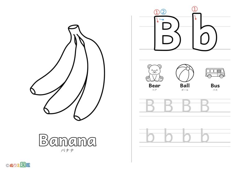 Free printable Alphabet "B" coloring page