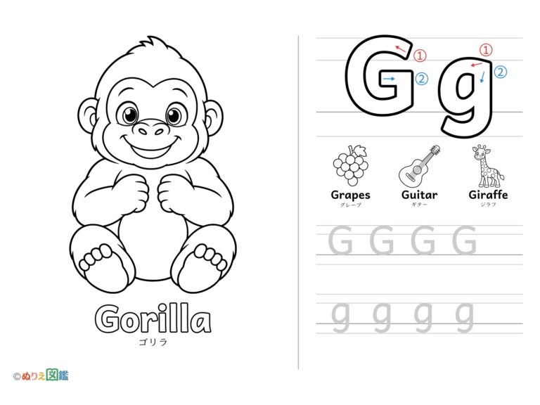 Free printable Alphabet "G" coloring page
