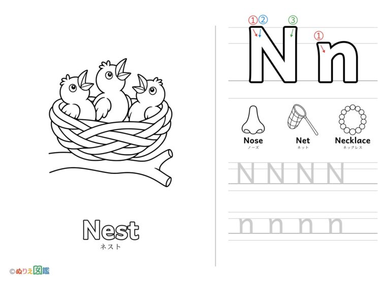 Free printable Alphabet "N" coloring page