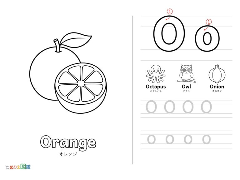 アルファベット「O」の無料塗り絵イラスト（知育・高齢者レク用）