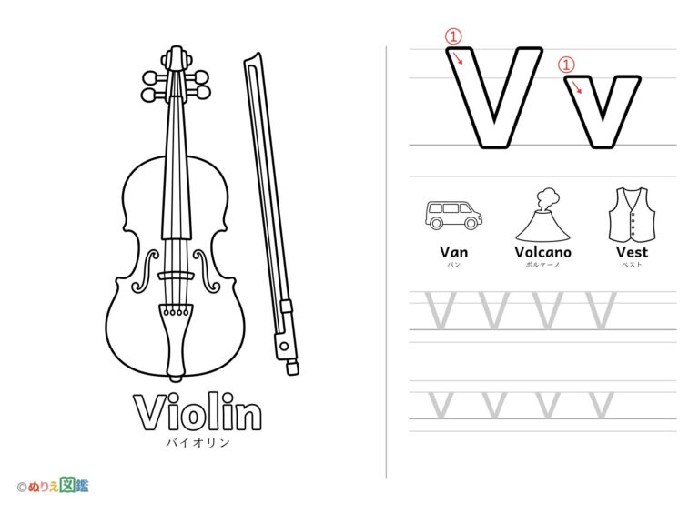 アルファベット「V」の無料塗り絵イラスト（知育・高齢者レク用）